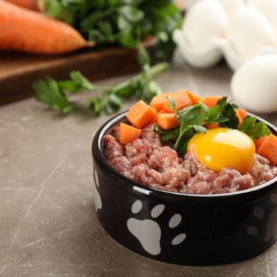 A bowl of raw dog food.