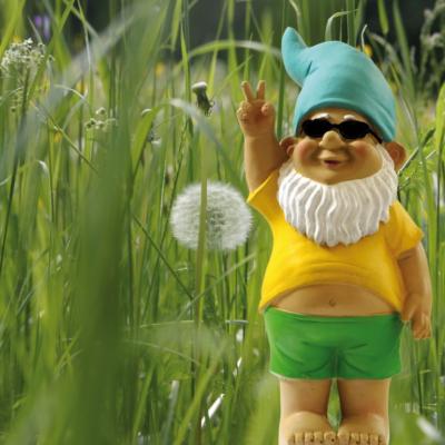 A gnome in the grass.