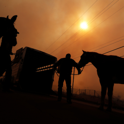 Smoky silhouettes of horses being loaded into a trailer in a fire.