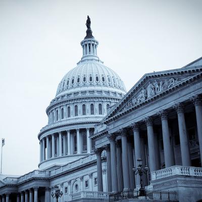 U.S. capitol building in grayscale colors.