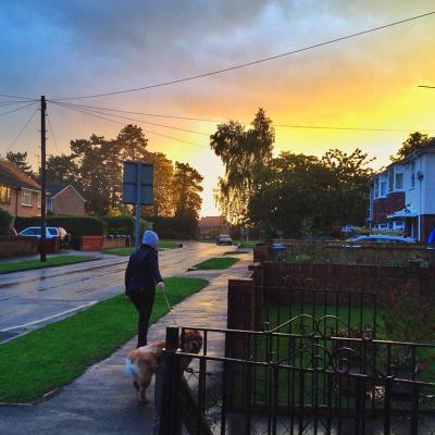 A person walking a dog in a neighborhood during sunset after a rain.