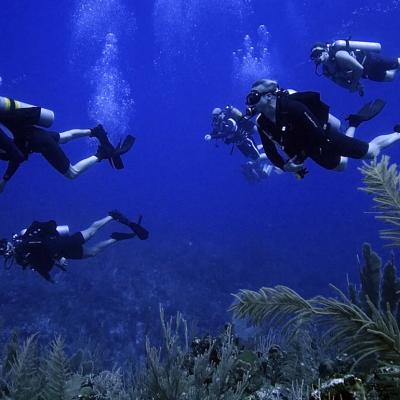 A group of former navy SEALs underwater.