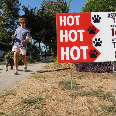 A person walks their dog in the morning when temperatures climb.