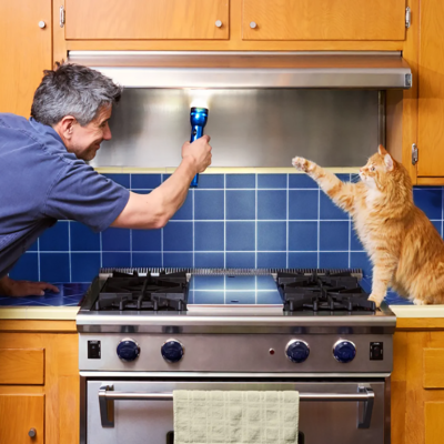 A home owner inspecting the kitchen range hood and a cat is beside the stove.