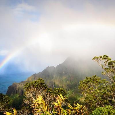A rainbow after the rain on the island of Kauai in Hawaii.