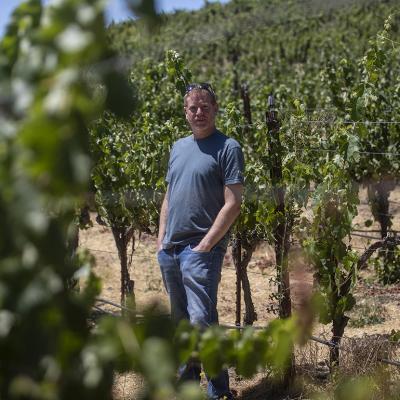 Jason Haas, owner of Tablas Creek Vineyard, stands amongst rows of grape vines at his vineyard in Paso Robles on July 30, 2025. 