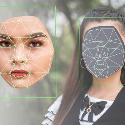 A woman's face cropped out and illustrated with a deepfake, matching facial movement graphics.
