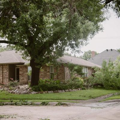 Corner house front yard curbside landscaping damaged by large branch fallen off from tall tree in strong wind heavy storm in Dallas, Texas.