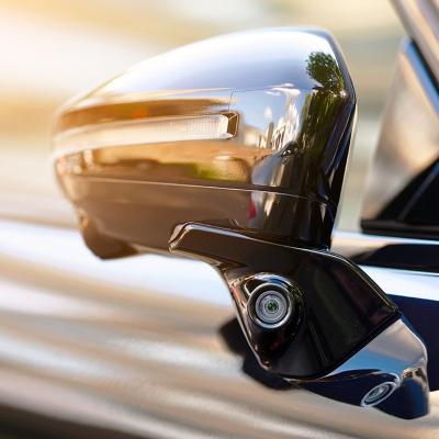 Side area of a car showing the rear mirror for blind spot monitoring.