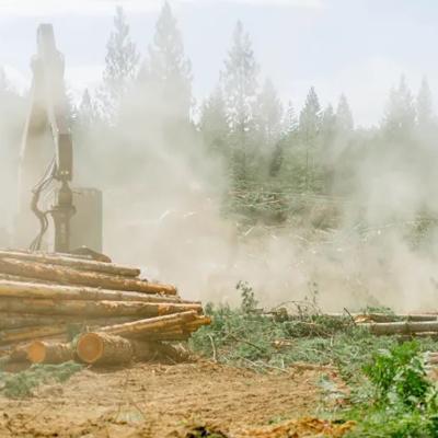 A pile of cut logs sits on the ground with thick sawdust floating everywhere while a logging company is harvesting timber in Lincoln County, Montana.