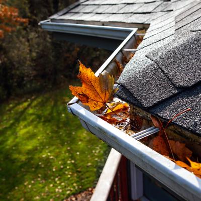 Autumn leaves settle in a rain gutter on a roof.