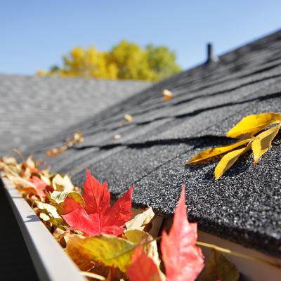 Autumn leaves accumulate in a house's rain gutter.