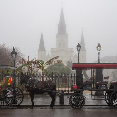 A foggy view of St. Louis' Cathedral in New Orleans, Louisiana on a rainy day.