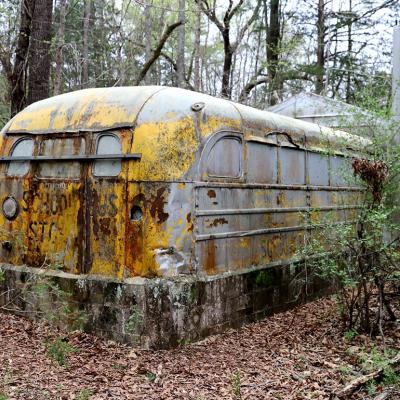 An old, rusty school bus repurposed as an attachment to a shed in the woods.