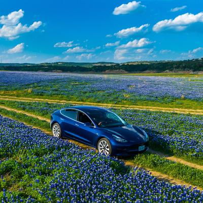 A Tesla Model 3 car driving through a large bluebonnet wildflower field.