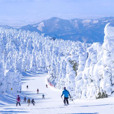 Skiers race down a snow slope in Yamagata, Japan.