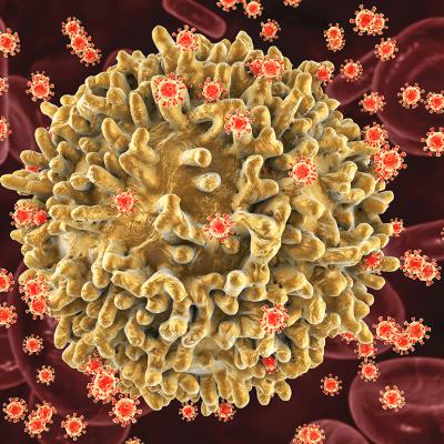 A 3D illustration of HIV infecting the T-lymphocyte cell.