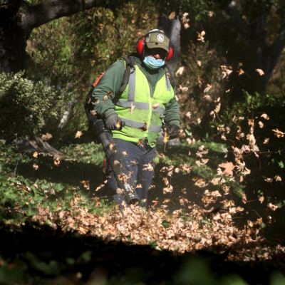 A man uses a gasoline-powered leaf blower to clear leaves and gardening debris.