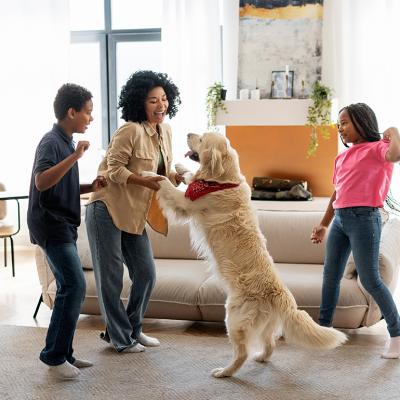 A happy family playing with their golden retriever in their living room.