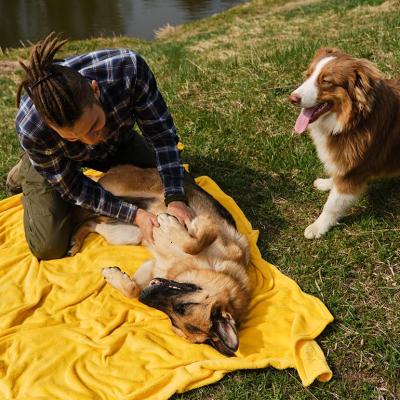 Young man resting and playing with his two dogs in the park.