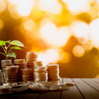 Stack of coins growing a small plant as a concept of financial growth.