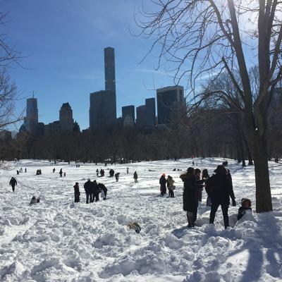 Central Park in New York city, with an accumulated 26.8 inches of snow after a blizzard.