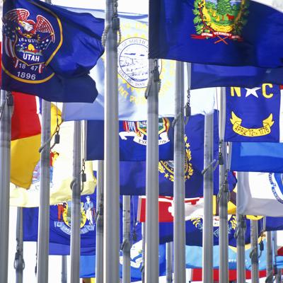 State flags of the United States of America.