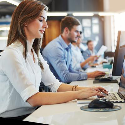 Business employees working in front of computers in their office.