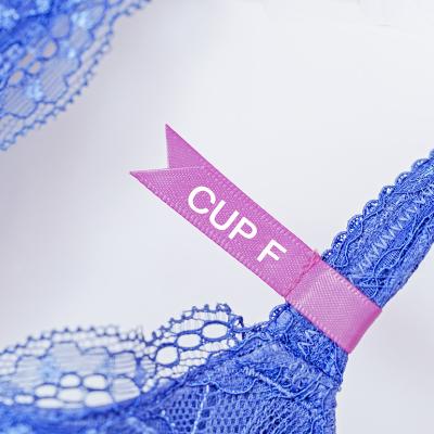 A blue lace bra with a 'Cup F' label.