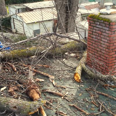 A damaged roof with fallen tree limbs and debris.
