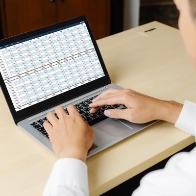 An accountant using a laptop showing financial statement spreadsheets and account balances.