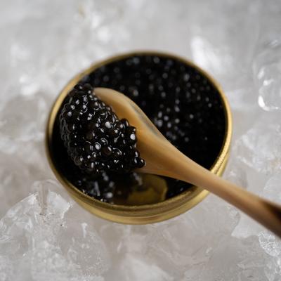 A spoonful of luxurious black caviar.