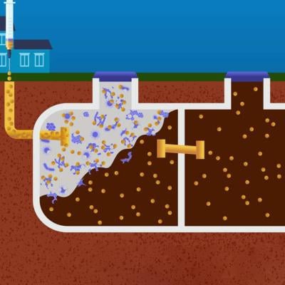 An illustration of a septic system accumulating bacteria from chemotherapy-related activities.