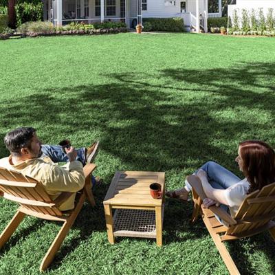 A couple sitting under the shade of trees in their backyard.