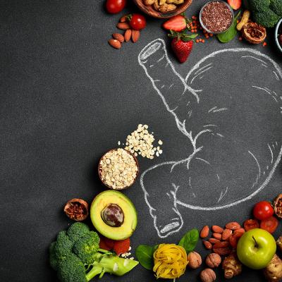 Fresh fruits and vegetables surrounding a drawing of the digestive system.