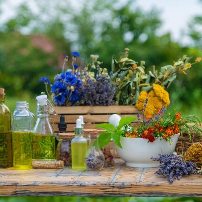 Various medicinal herbs and natural tinctures in a wooden table.