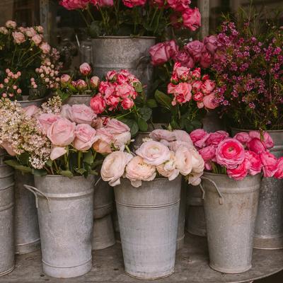 Pink roses and other flowers in buckets from a flower shop.