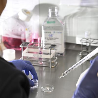Culture dishes were prepared for egg collection after retrieval in a cell laboratory at Fertility Center Berlin, Germany.