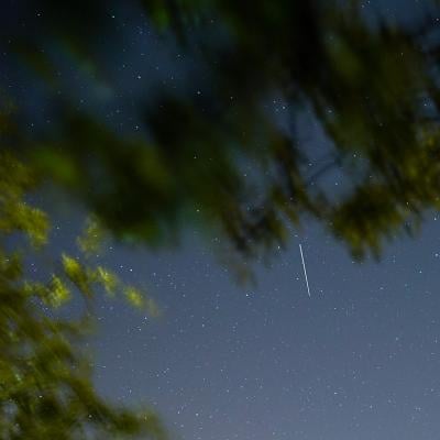 A satellite from a larger group of satellites called Starlink seen trailing across the night sky.