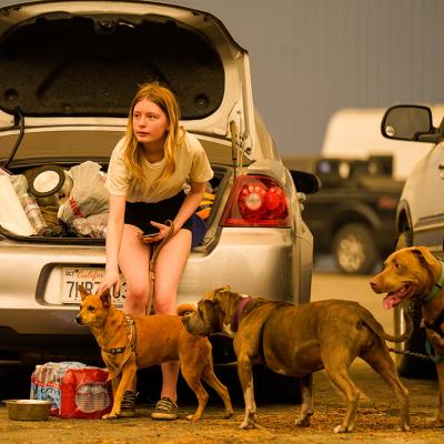 A teen petting her dog while waiting with her family to be escorted from an evacuation zone during a creek fire in Shaver Lake, California, USA.