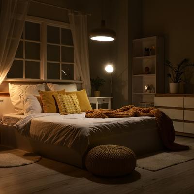 Interior of a modern bedroom with ambient lamps and lighting.