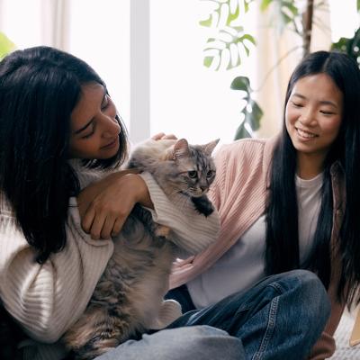 Two persons petting a cat while unpacking boxes in their new room.