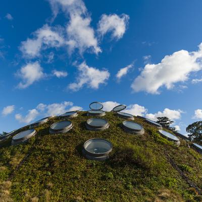The living green seen as the landscaped roof of the California Academy of Sciences in San Francisco, California, USA.