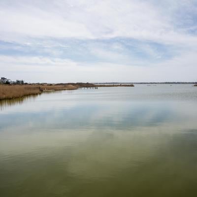 A view of the calm waters of Mecox Bay where Vibrio vulnificus, a deadly flesh-eating bacteria, is found on April 29, 2026, in Southampton, New York.