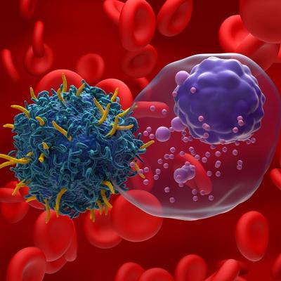 A 3D illustration of an antigen receptor (CAR) T-cell targeting multiple myeloma (MM) cancer cells.