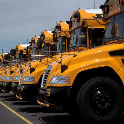 A row of yellow school buses in a parking lot.