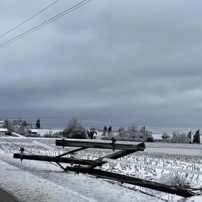 An ice storm in northern Michigan in March 2025 brought down trees and power lines, causing widespread damage and outages.
