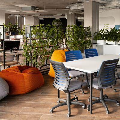 Comfortable beanbag chairs and lush greenery at a modern coworking space.