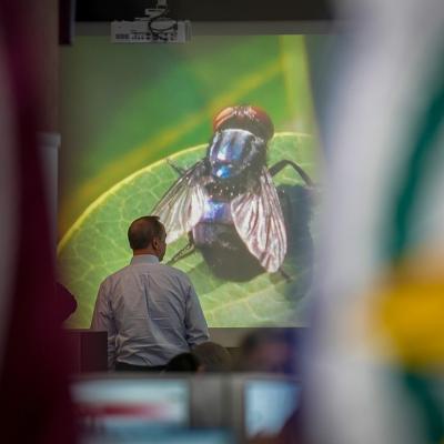 An official with the Texas A&M AgriLife Extension works at the State Operations Center during Texas' response to the New World Screwworm in Austin.