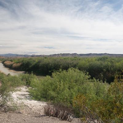 The banks of the Rio Grande near Presidio, Texas.
